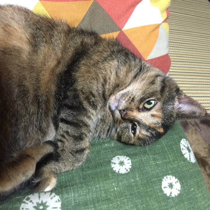 851e229d 6bc9 409f a78a 8597afde0afd