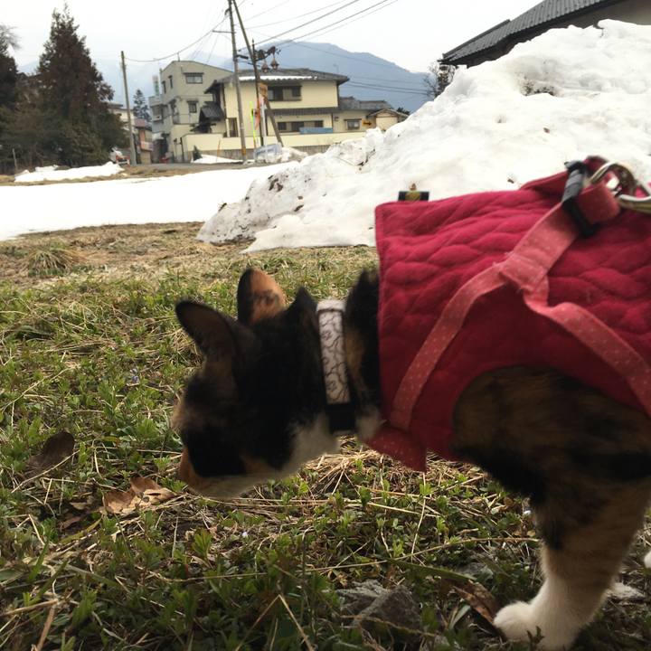 851e4ed3 5cca 4872 a406 04abe490c4c5