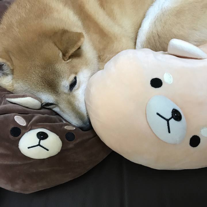 851e9366 2b8e 4575 8666 b33fb0e530fe