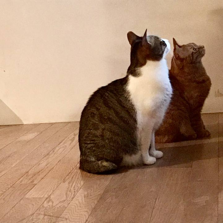 851ef41e 0d52 446a 957f c99859e0d884