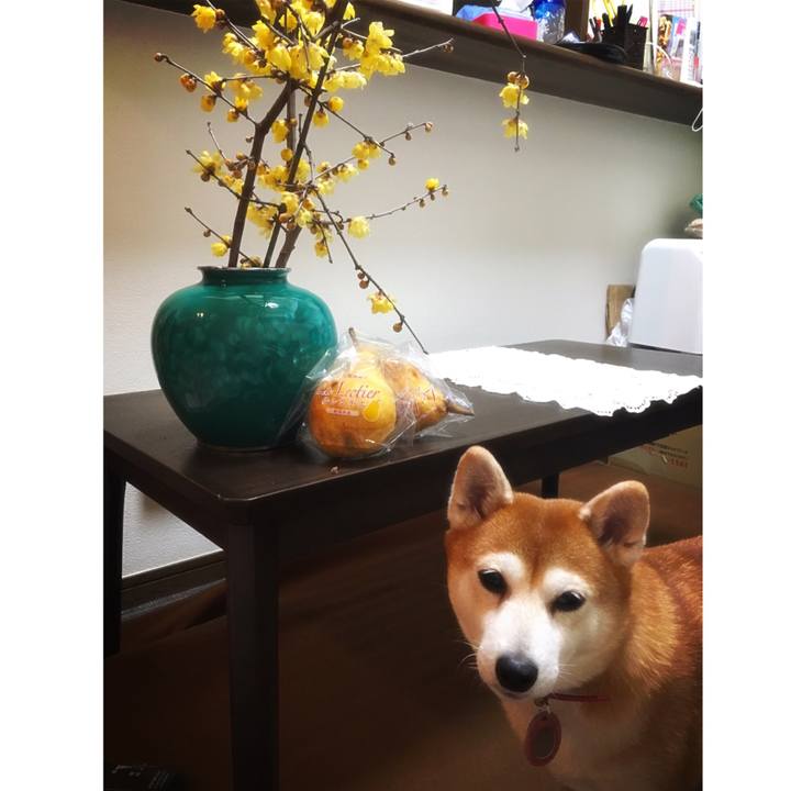 851f73c4 b2aa 4787 ae63 07c1fe2947fc