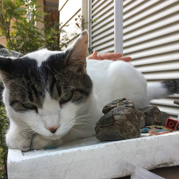 851f8e40 aabc 425d 8a0c bc92d79fd6d8