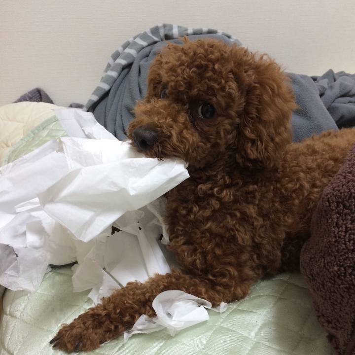 851ff1c2 e0ca 4d17 a77c d04150d651ba