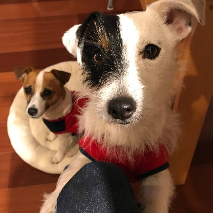 8520873f 42c3 4311 bf95 4a237ab68410