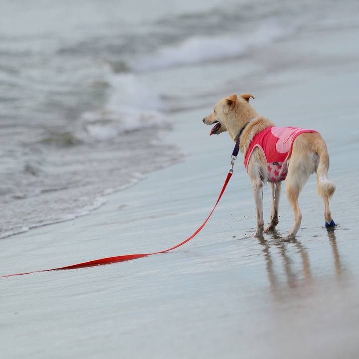 8520b323 be6c 4fea b641 6feca341b23b