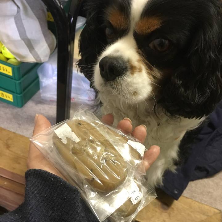 85218efd 19ac 480b a344 22ed195b8e00