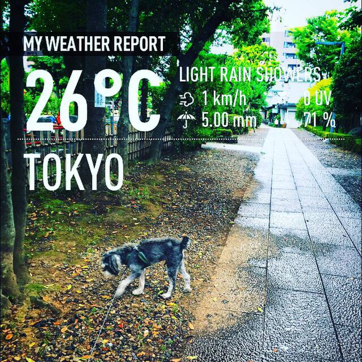 8521903e 84d6 42cd b5d9 e399c0484aa6