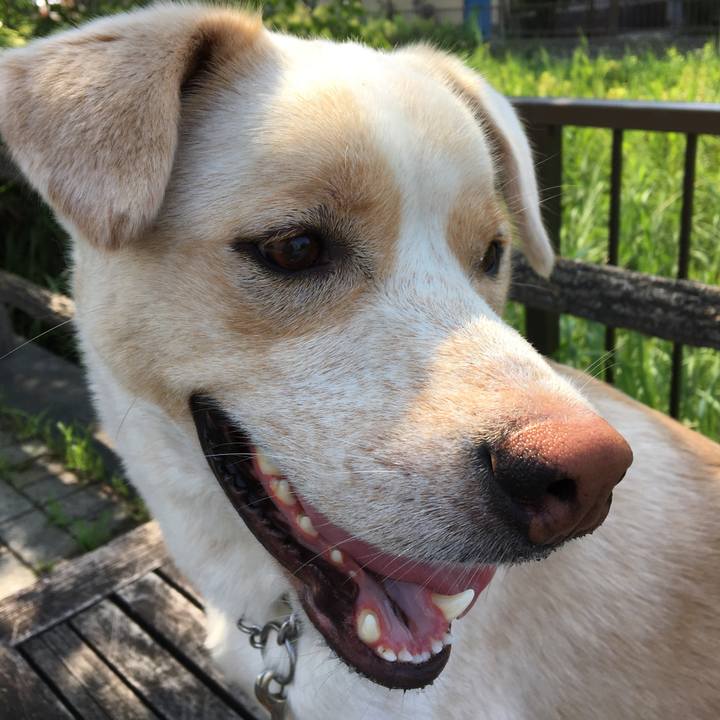 852295ec 2e5d 4a05 a72f 45a3339a1357