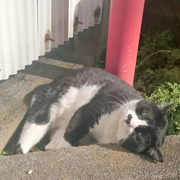 8523f4c3 bdb4 4347 94bd af7fc263bae8