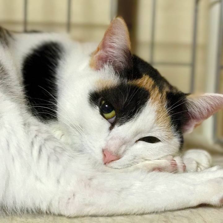 852417c5 f21e 418a 897c bf0088b9ba38