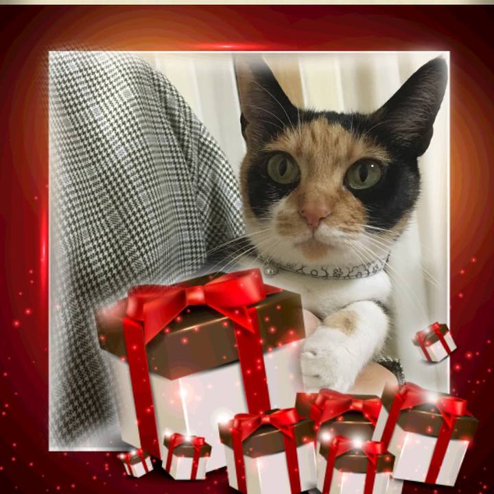 852467a1 1e17 4280 b567 3bbb80523a00