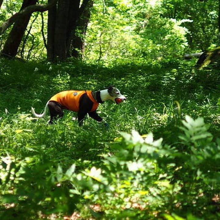 852490dd 531e 4c04 a6b3 739c4227c8e2