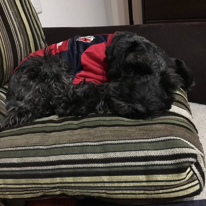 85254500 b76a 48c5 8b4d 55537508210b