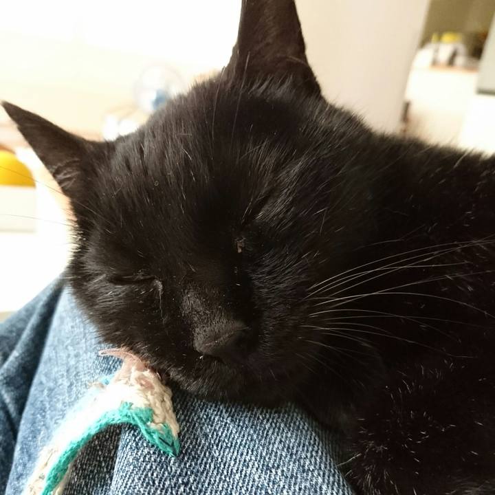 8525728d 1667 41fa 9086 280b40696bdb