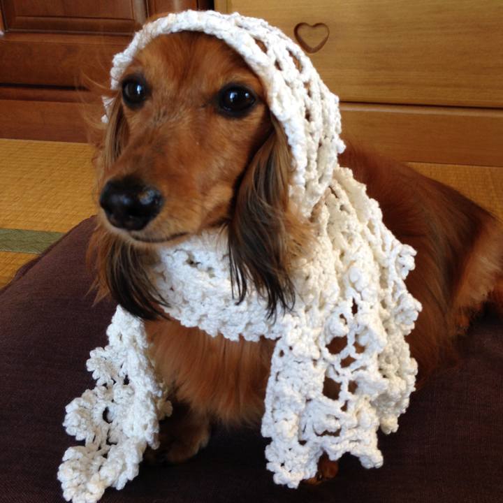 852603c1 88e7 4970 a954 6d600c2df850