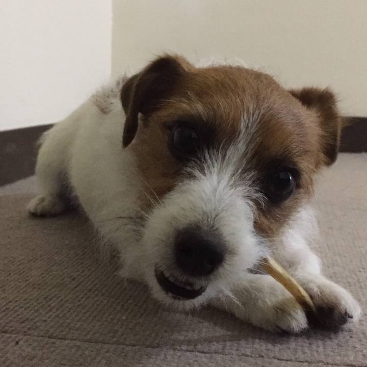 8526682c 408a 4752 b7d5 bf3c57225104