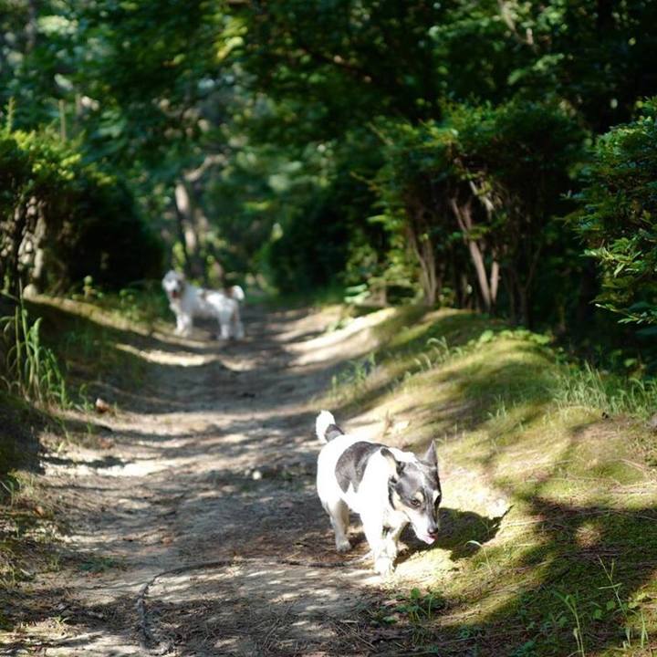 85269505 97b2 4376 9699 042724257872