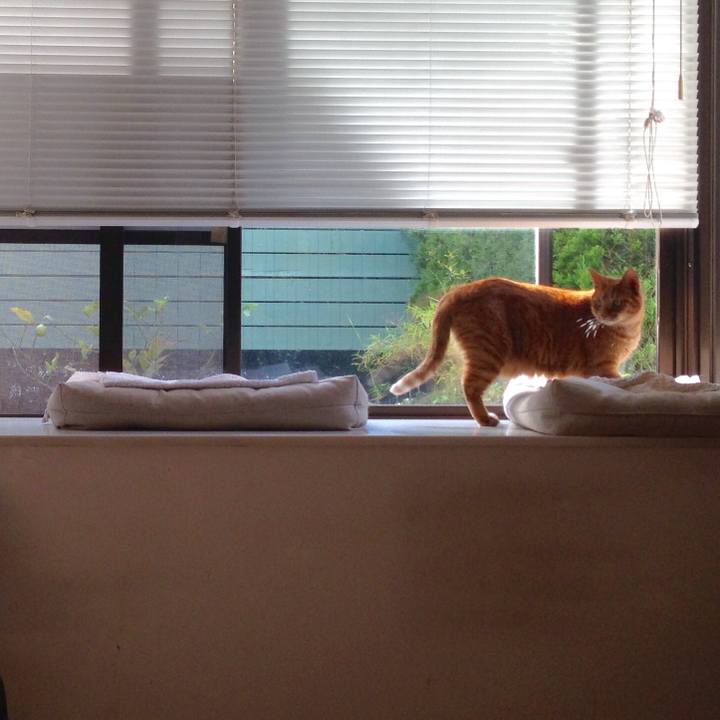 85279138 911d 43aa 94f1 55b6f5a93492