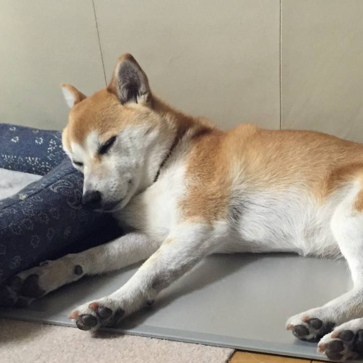 8527cc60 55b0 4749 adbf 0011f7137b8c