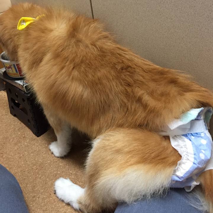 8527e8af e7f1 4867 bd1f bdb357b7d78d