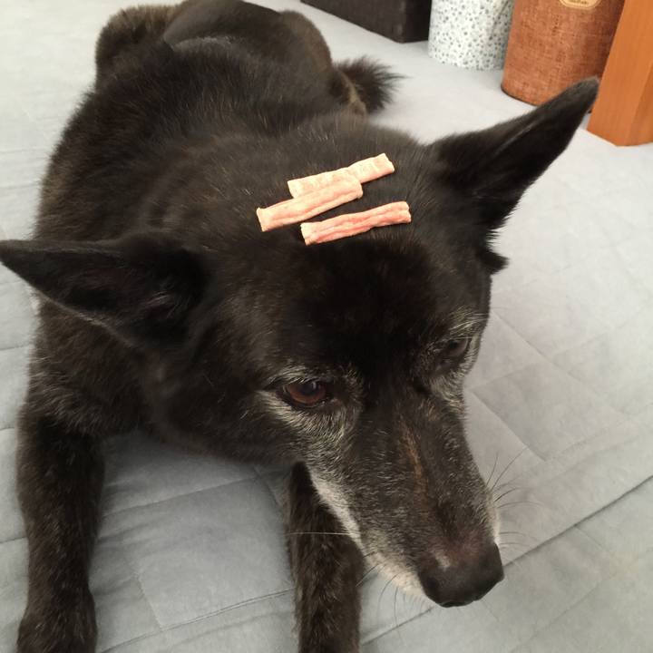 8528532d f77a 4f21 a848 262a9132db0c