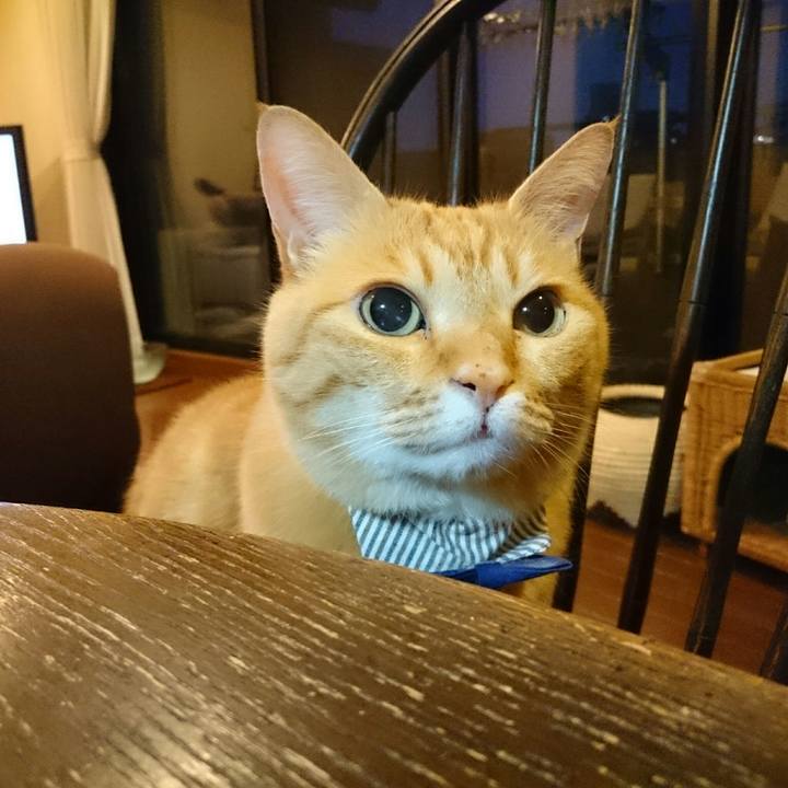 8528cbcb e8ad 4f27 a607 f9a8cc4aab83