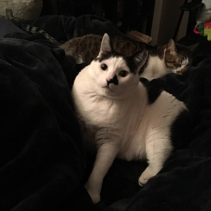 85294df0 14fe 4eb9 9f3c 763f74efcb6d