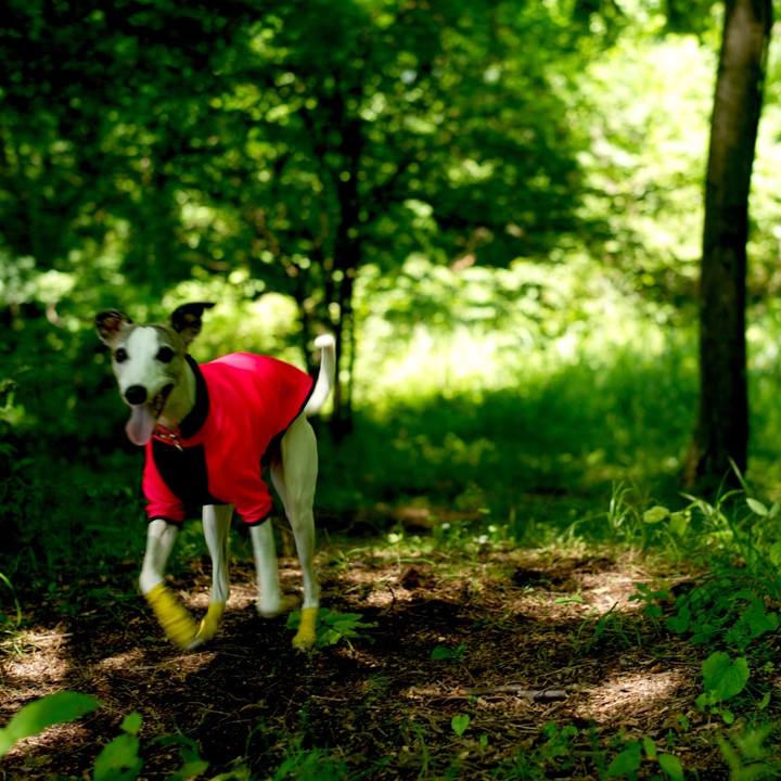 85295314 2b33 4a3e 9215 2fce659cfe55