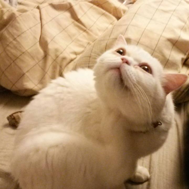 8529efcc a815 4d53 b747 edcaae3f6ad7