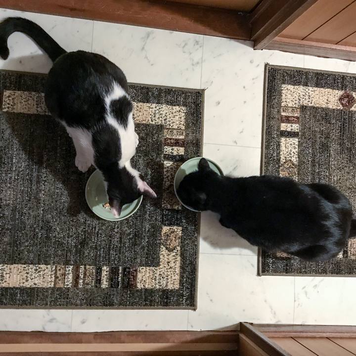 852a2c27 4d28 482d a34e 7d7114c659bf