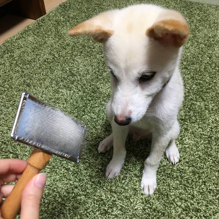 852a92d5 e35c 4c68 a6c4 4cebe6bc5dd3