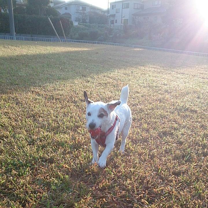 852aa226 09b1 462b 84de d47e226c1b88