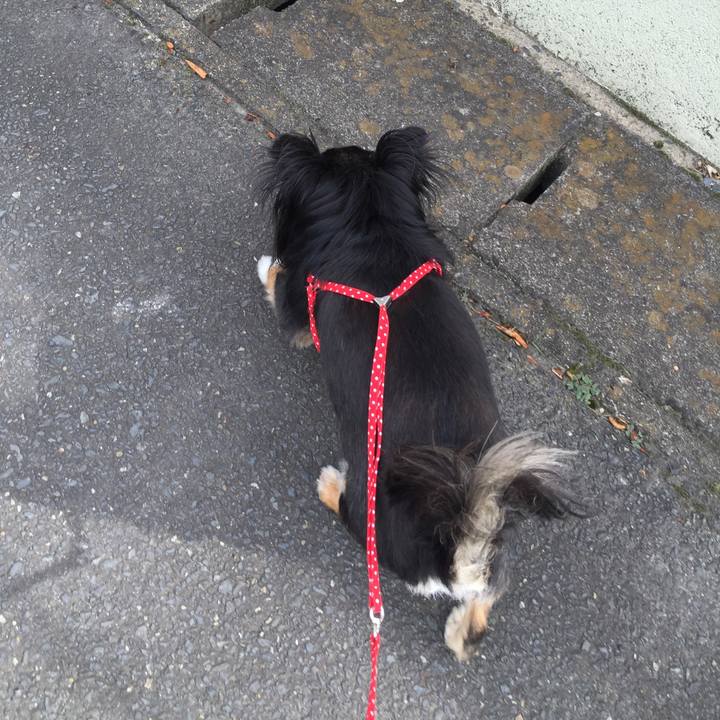 852bf2c9 f494 4a20 81fb 80cdc1334a36