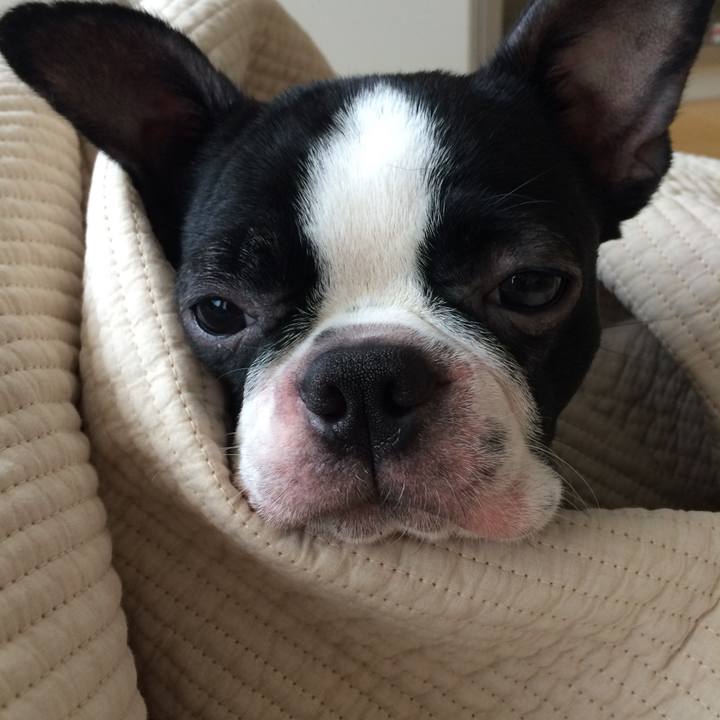 852c40ca 16fc 4100 9d27 17b1464682b7