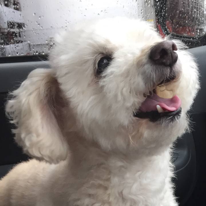 852d2daa a4f1 4f88 a99c ff799b561153