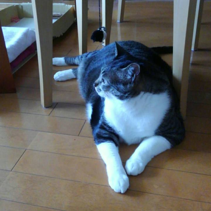 852e312e 58fc 428d be31 d75fc1287fa2