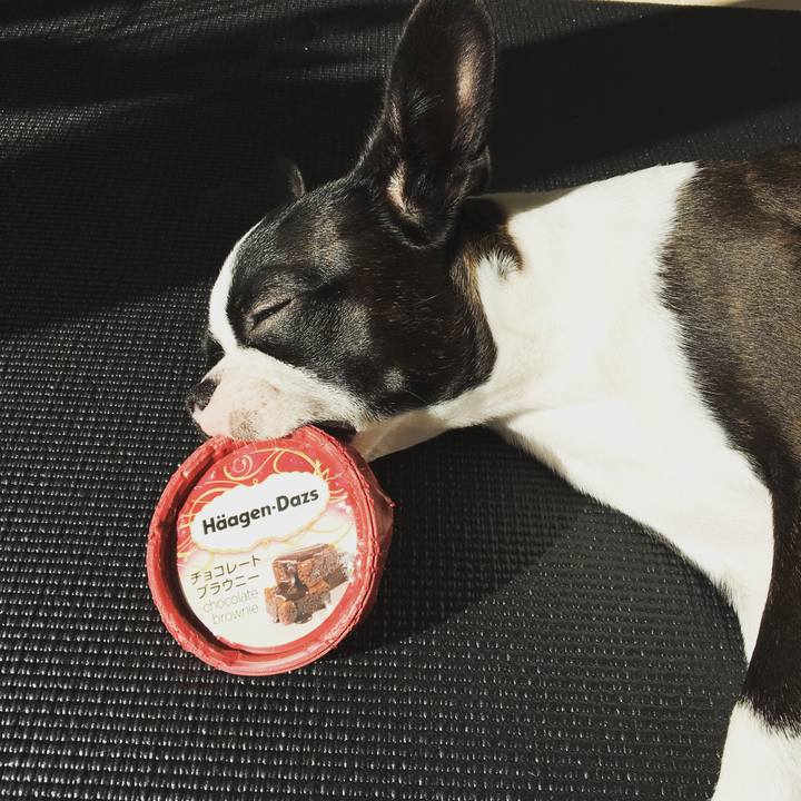 852f1c18 2995 4740 89ae 2d5dce19fce5