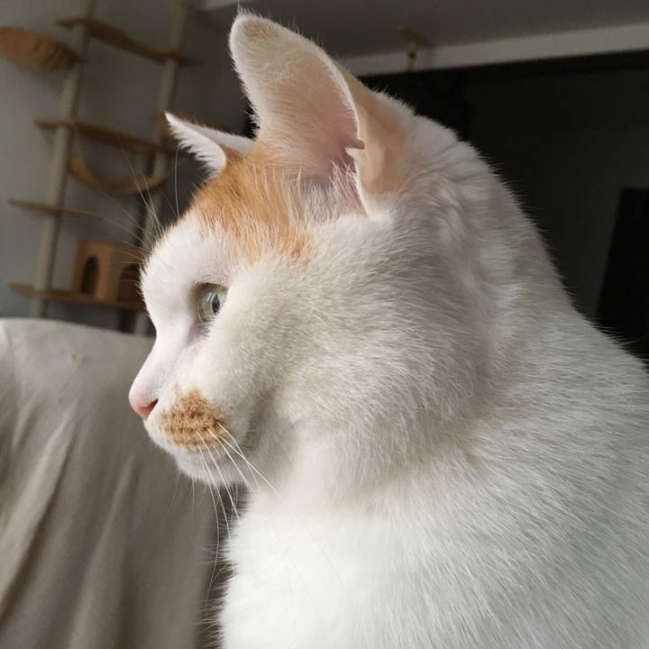 852f4786 a504 45f6 8c22 95341fbd89f8