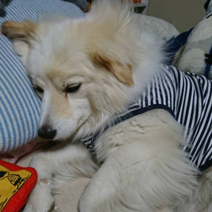 852f5c21 51e5 4263 a5e3 cdb4e1f28fc6