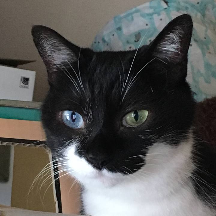 852faa4e 8b92 4f79 b428 02a26dc6dd52