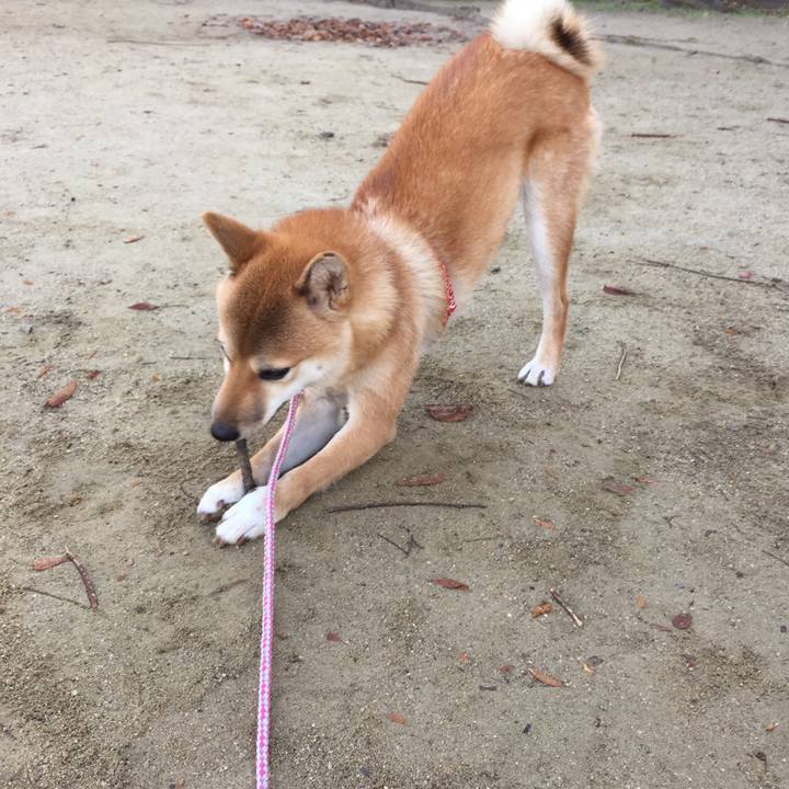 852fb731 2440 4c4a 95d7 9d112635f00e