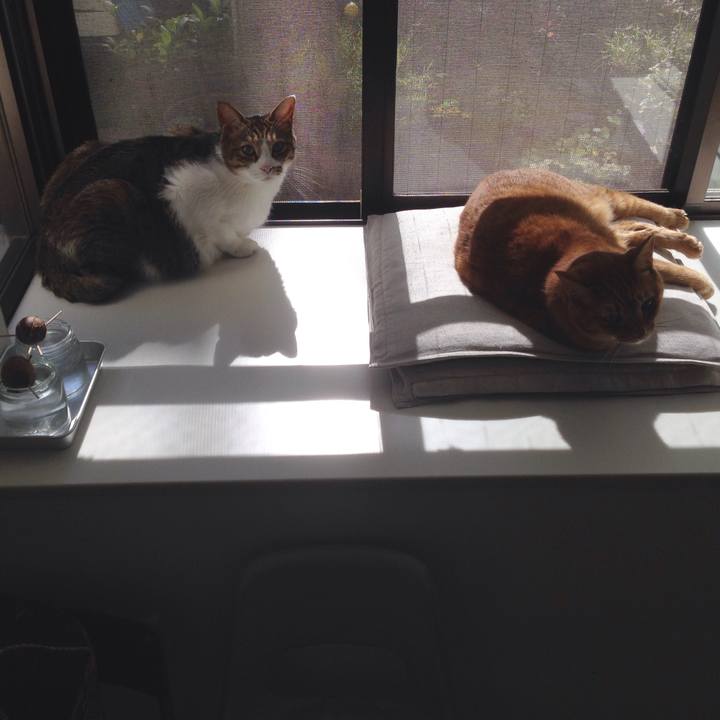 852fc2f6 b1ed 4b33 8aed 25f86bee3963