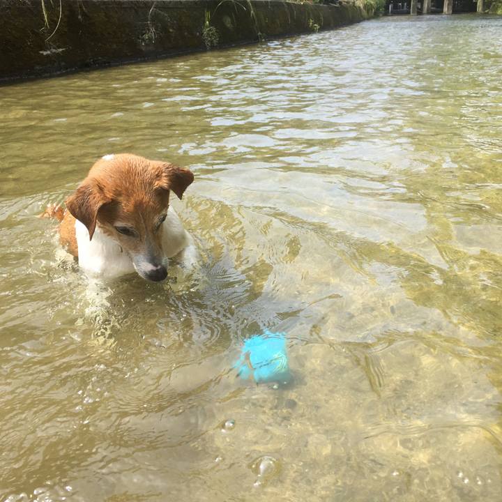 852ff3f9 4fe7 4ecc 85a6 89165bbdca6d