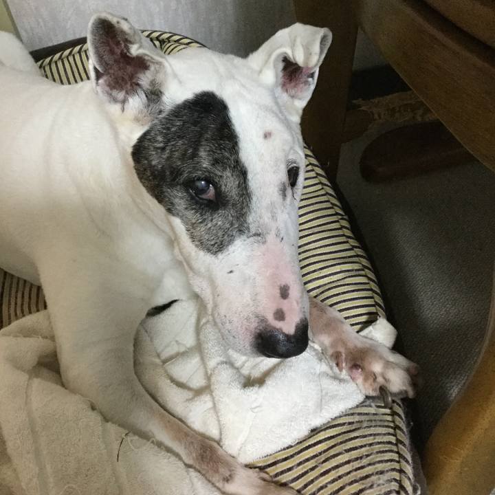 852fffd5 2845 4c8a b888 e4953d692f71