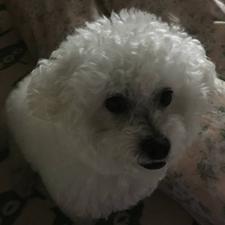 85302c2d e350 4e8c b76a 98a18707b884