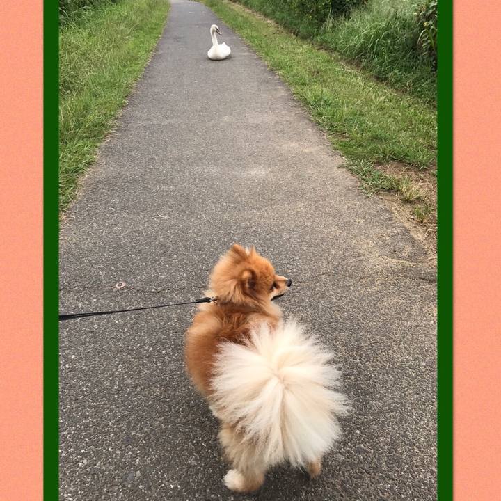 853036c1 76f8 4db3 af72 a76aa98f4bbd