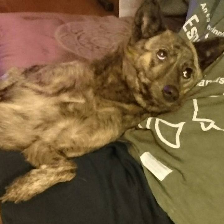 85306981 f85f 4955 a8ed e506a55f94db