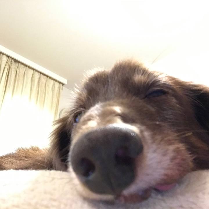 85316a2e 1b61 43c6 a045 8013c586412f