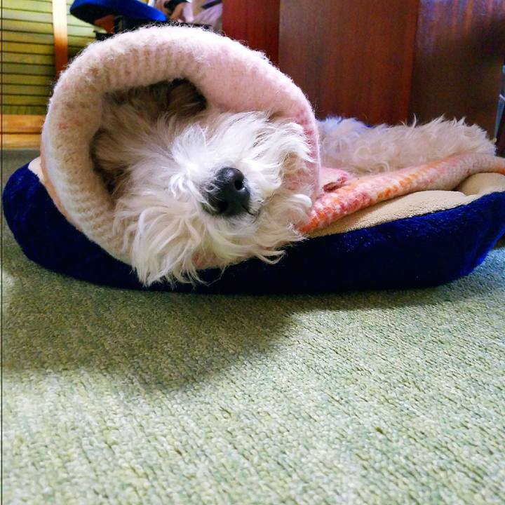 8531ff1e 23a5 4a0f 9bcc d667319fe1c7