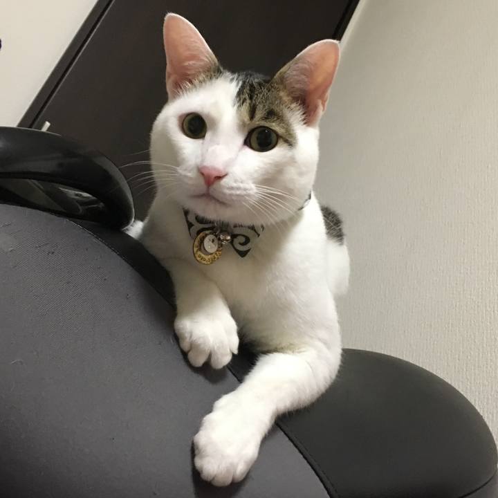 853237b3 c0a6 4b6d 9512 f6ed0add5f0a